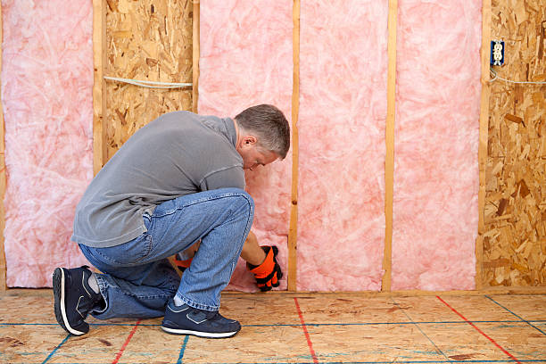 Best Insulation Installation Services in Robinwood, MD